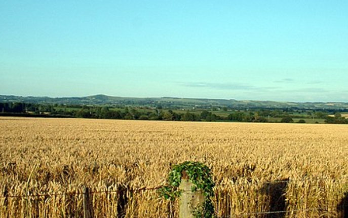 1.30期货日报：欧洲天然气创新高，大豆重挫，美联储决议影响几何？