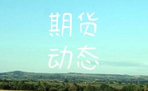 2.14集运欧线涨停